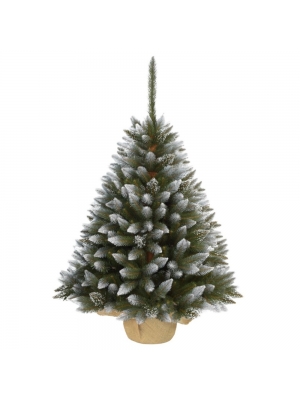 ŚWIERK DIAMENTOWY PREMIUM W DONICY Z JUTĄ - 3 rozmiary, 7 kolorów donicy