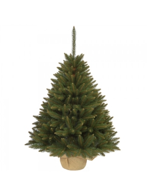 ŚWIERK SYBERYJSKI PREMIUM W DONICY Z JUTĄ - 3 rozmiary, 7 kolorów donicy