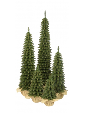 Świerk zakopiański slim zielony w jucie