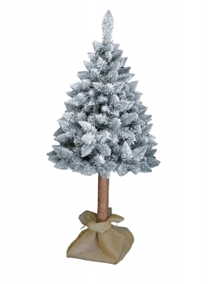 Sosna górska na naturalnym pniu pokryta śniegiem