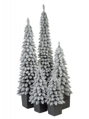 Świerk Zakopiański SLIM Ośnieżony w Kwadratowej Donicy - Kolor ANTRACYT - 5 rozmiarów