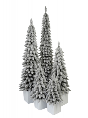 Świerk Zakopiański SLIM Ośnieżony w Kwadratowej Donicy - Kolor BIAŁY - 5 rozmiarów