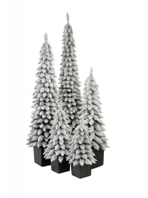 Świerk Zakopiański SLIM Ośnieżony w Kwadratowej Donicy - Kolor CZARNY - 5 rozmiarów