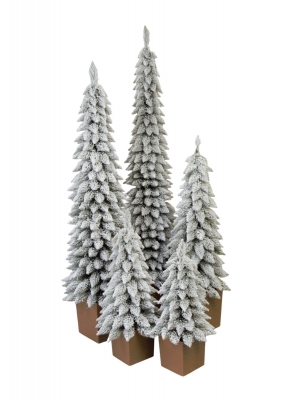 Świerk Zakopiański SLIM Ośnieżony w Kwadratowej Donicy - Kolor DREWNO - 5 rozmiarów