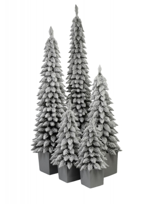 Świerk Zakopiański SLIM Ośnieżony w Kwadratowej Donicy - Kolor SZARY - 5 rozmiarów