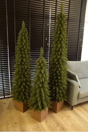 Świerk Zakopiański SLIM Zielony w Kwadratowej Donicy - Kolor DREWNO - 5 rozmiarów