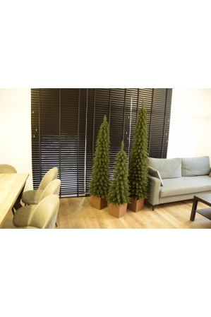 Świerk Zakopiański SLIM Zielony w Kwadratowej Donicy - Kolor DREWNO - 5 rozmiarów