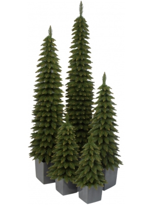 Świerk Zakopiański SLIM Zielony w Kwadratowej Donicy - Kolor ANTRACYT - 5 rozmiarów