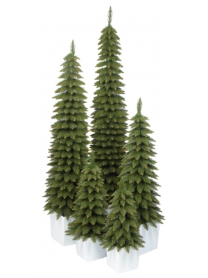 Świerk Zakopiański SLIM Zielony w Kwadratowej Donicy - Kolor BIAŁY - 5 rozmiarów