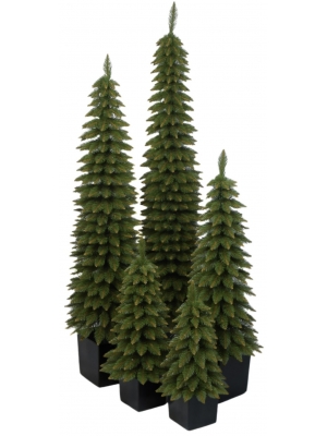 Świerk Zakopiański SLIM Zielony w Kwadratowej Donicy - Kolor CZARNY - 5 rozmiarów