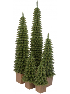 Świerk Zakopiański SLIM Zielony w Kwadratowej Donicy - Kolor DREWNO - 5 rozmiarów