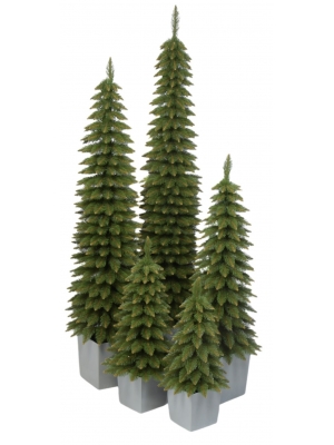 Świerk Zakopiański SLIM Zielony w Kwadratowej Donicy - Kolor SZARY - 5 rozmiarów